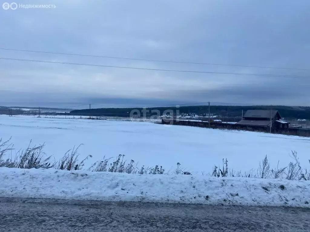 Участок в Нижегородская область, Дальнеконстантиновский муниципальный ... - Фото 1