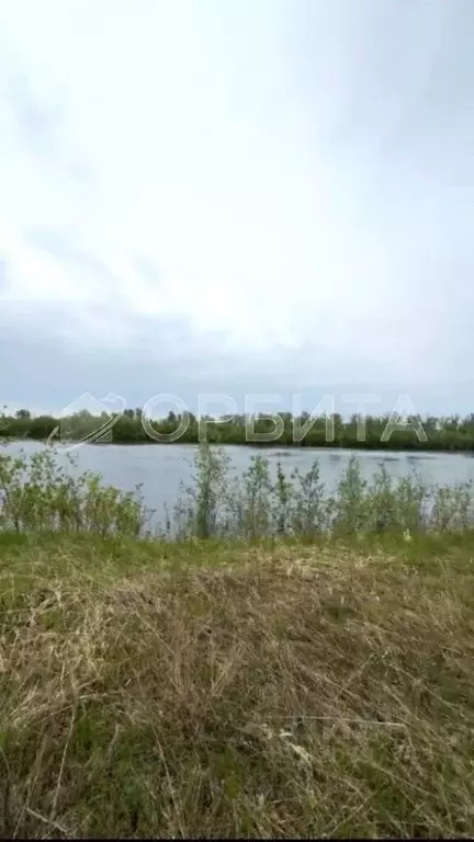 Участок в Тюменская область, Тюменский район, с. Борки  (44.6 сот.) - Фото 1