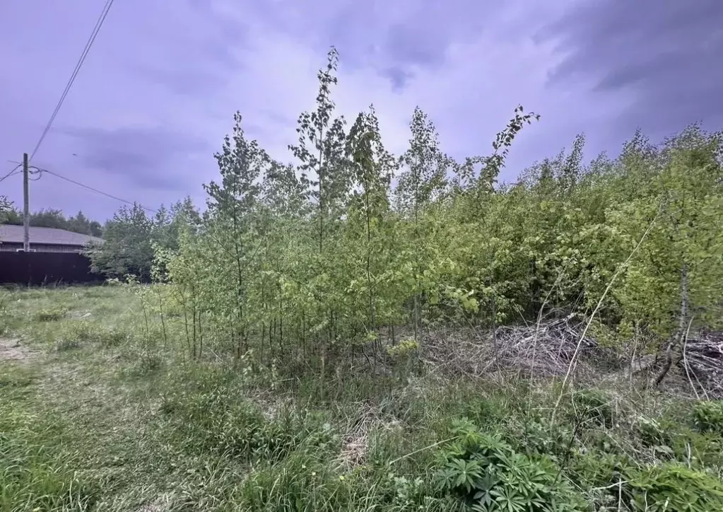 Участок в Нижегородская область, Бор ул. Янтарная (9.0 сот.) - Фото 2