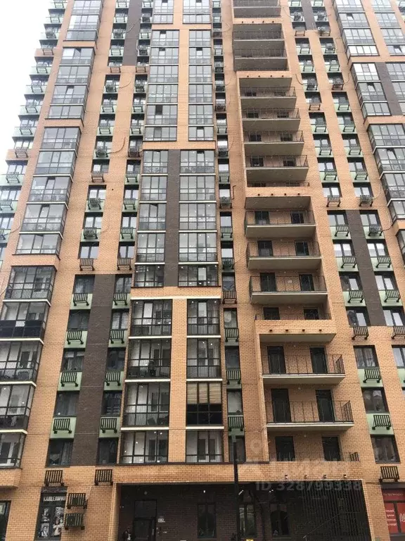 1-к кв. Московская область, Балашиха Железнодорожный мкр, просп. ... - Фото 1