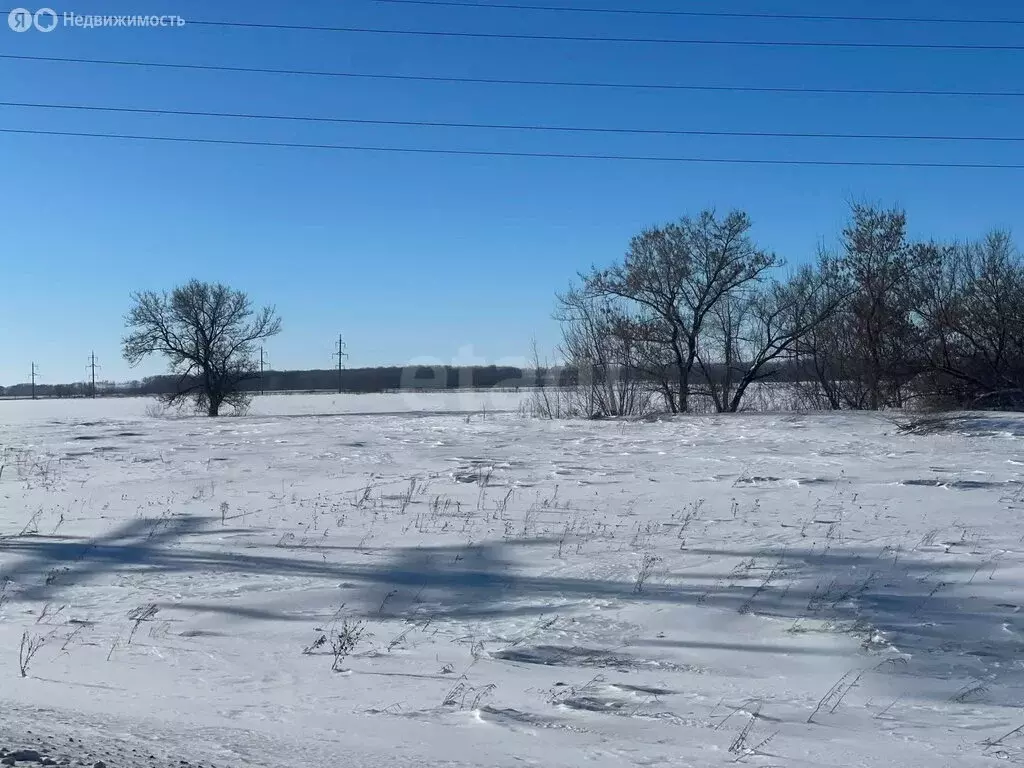 Участок в село Старое Барятино, Хвойная улица (8 м) - Фото 2