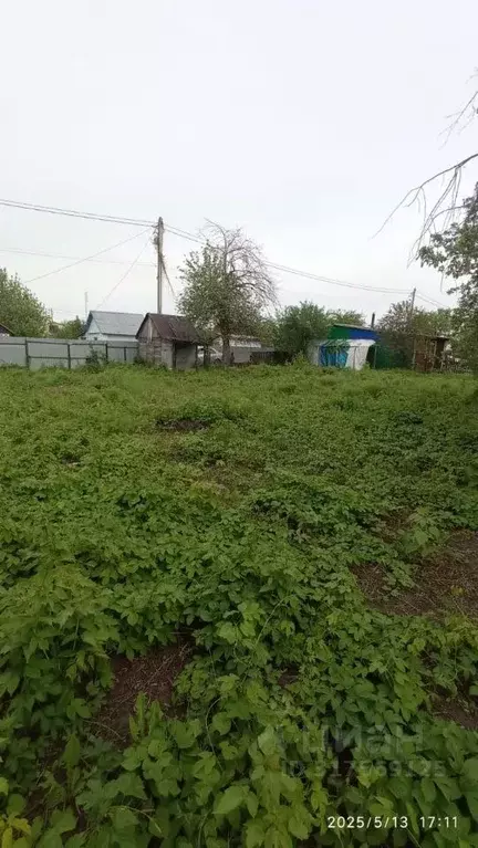 Участок в Самарская область, Тольятти Синтезкаучук СНТ,  (8.0 сот.) - Фото 1