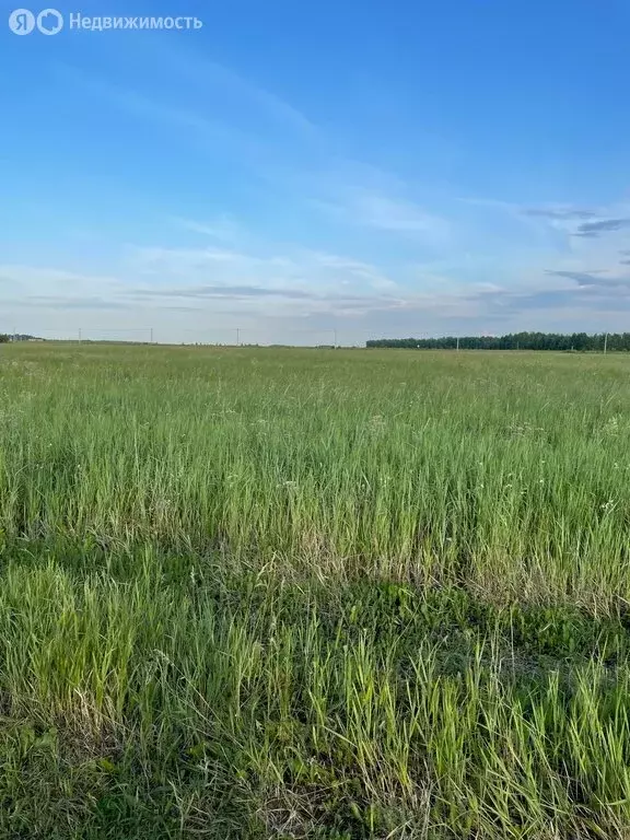 Участок в Тюменский район, село Кулаково (704 м) - Фото 0