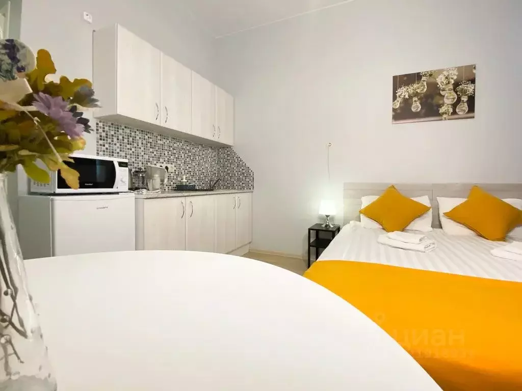 Студия Санкт-Петербург Гончарная ул., 17 (18.0 м) - Фото 1