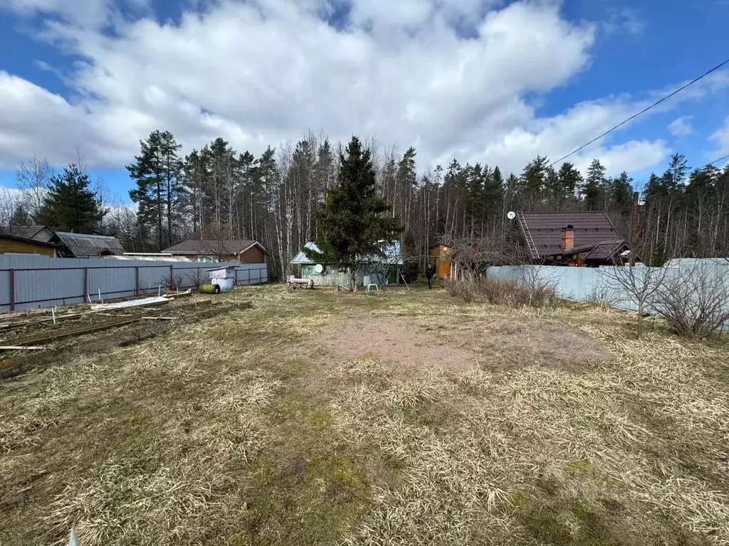 Участок в Ленинградская область, Приозерский район, Красноозерное ... - Фото 1