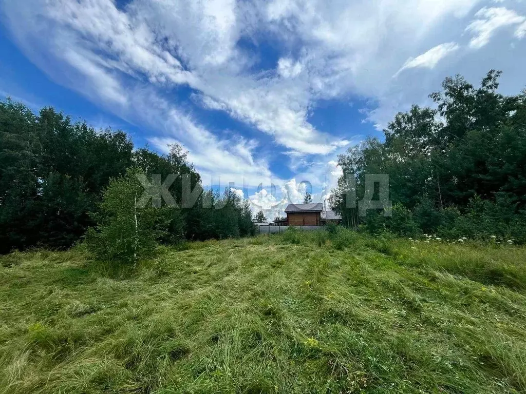 Участок в Новосибирская область, Искитимский район, Быстровский ... - Фото 2