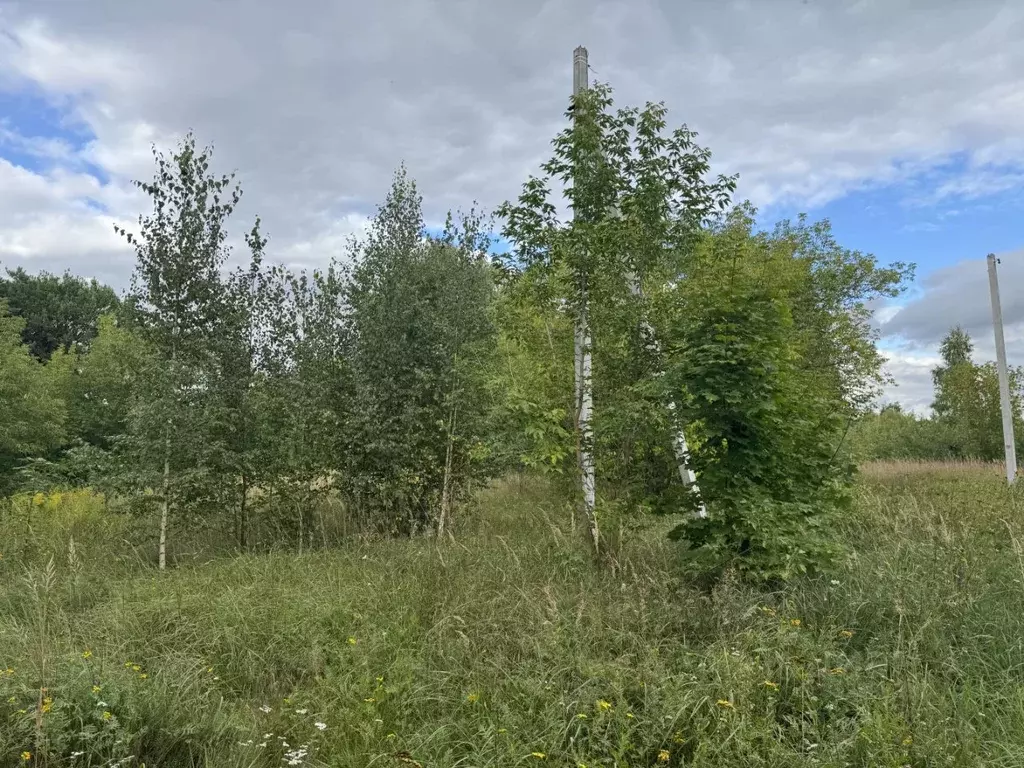 Участок в Московская область, Люберцы городской округ, Малаховка пгт ... - Фото 1