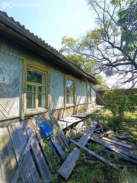 Дом в Биробиджан, Загородная улица, 1 (51.5 м) - Фото 1