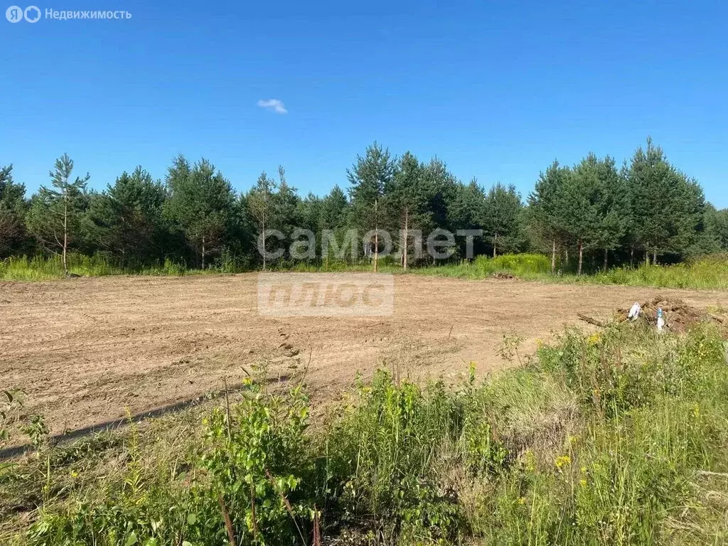 Участок в Московская область, городской округ Ступино, село Ивановское ... - Фото 2