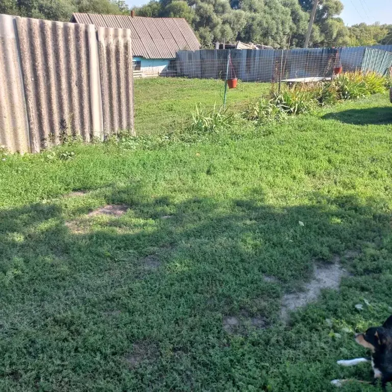 Дом в Курская область, Тимский район, Барковский сельсовет, с. Соколье ... - Фото 2