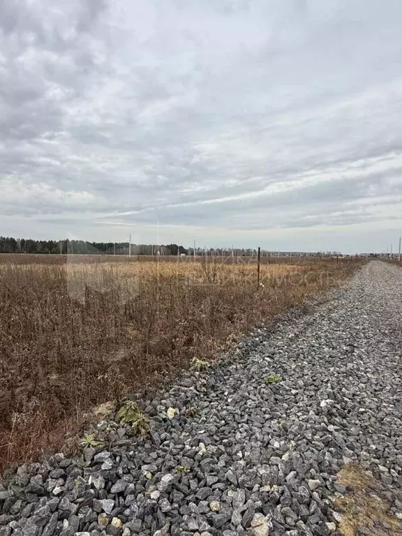 Участок в Свердловская область, Тугулымский муниципальный округ, с. ... - Фото 1