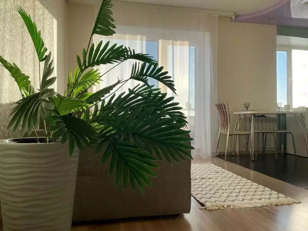 1-к кв. Саратовская область, Петровск Московская ул., 85 (30.0 м) - Фото 0