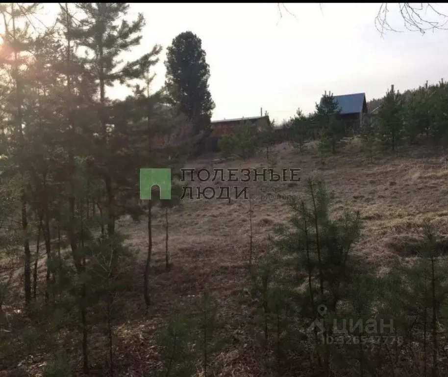 Участок в Красноярский край, Емельяновский муниципальный округ, пос. ... - Фото 1