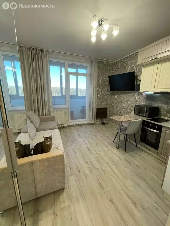 Квартира-студия: Кудрово, проспект Строителей, 16 (22.3 м) - Фото 1