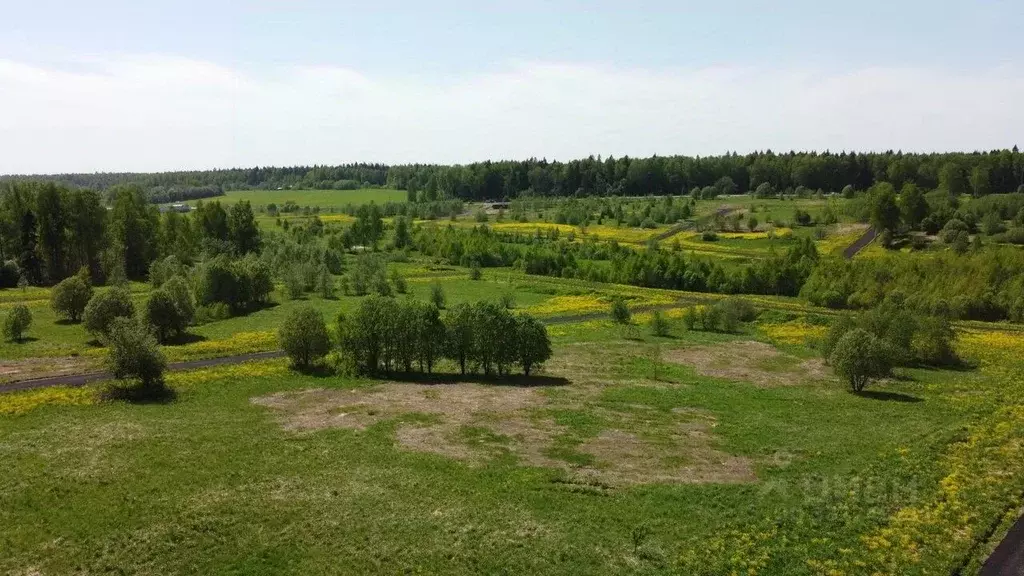 Участок в Московская область, Дмитровский муниципальный округ, ... - Фото 1