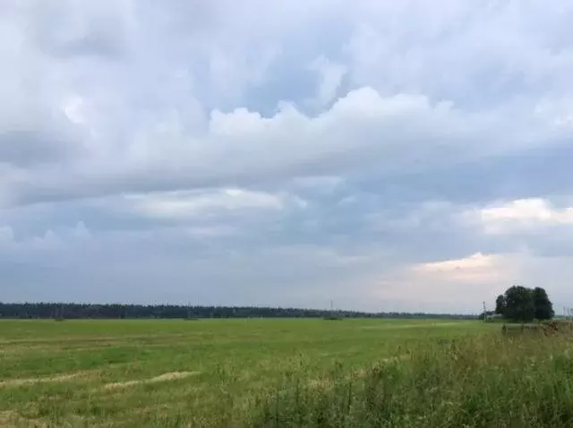 Продается участок в д. Хомяки - Фото 1
