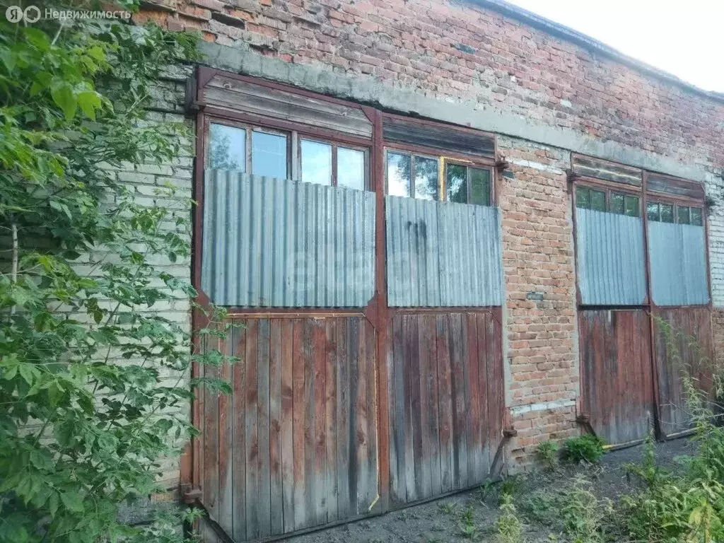 Помещение свободного назначения (220 м) - Фото 2