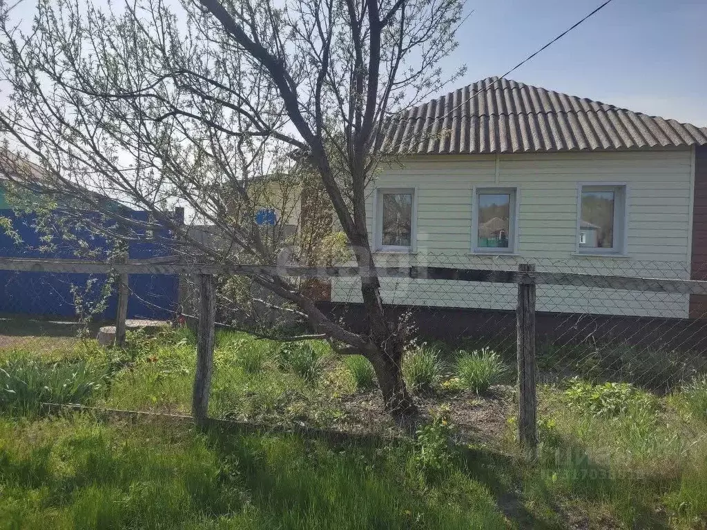 Дом в Белгородская область, Красногвардейский район, Веселовское ... - Фото 0