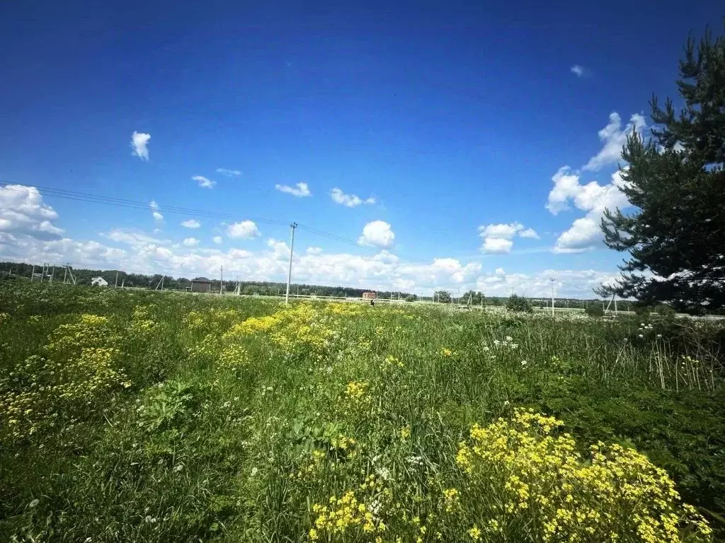 Участок в Тульская область, Тула городской округ, д. Новая Знаменка ... - Фото 1