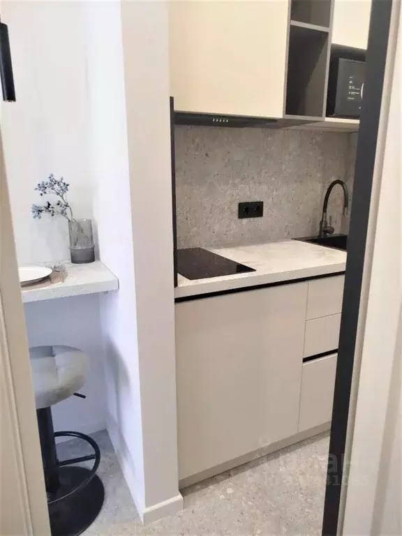 Студия Москва Березовая аллея, 19к4 (15.0 м) - Фото 2