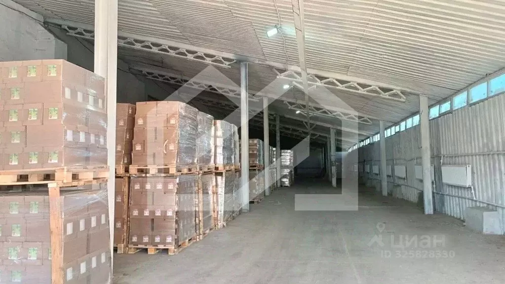 Производственное помещение в Московская область, Лосино-Петровский ... - Фото 1