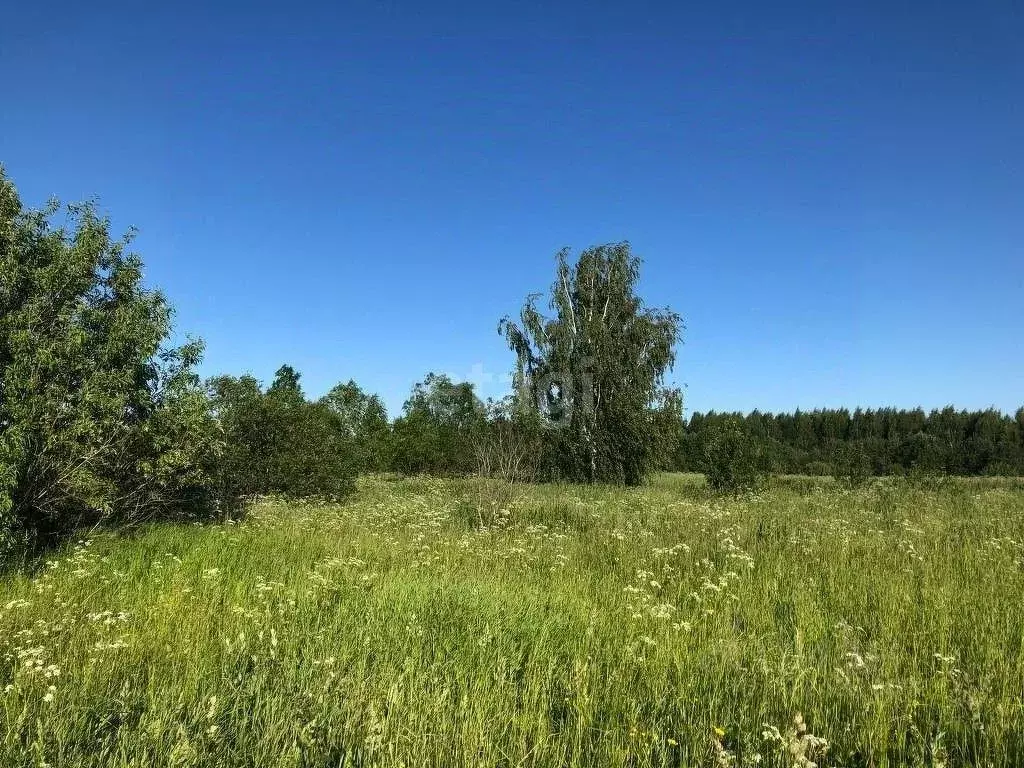 Участок в Вологодская область, д. Кулемесово 8 (21.0 сот.) - Фото 1