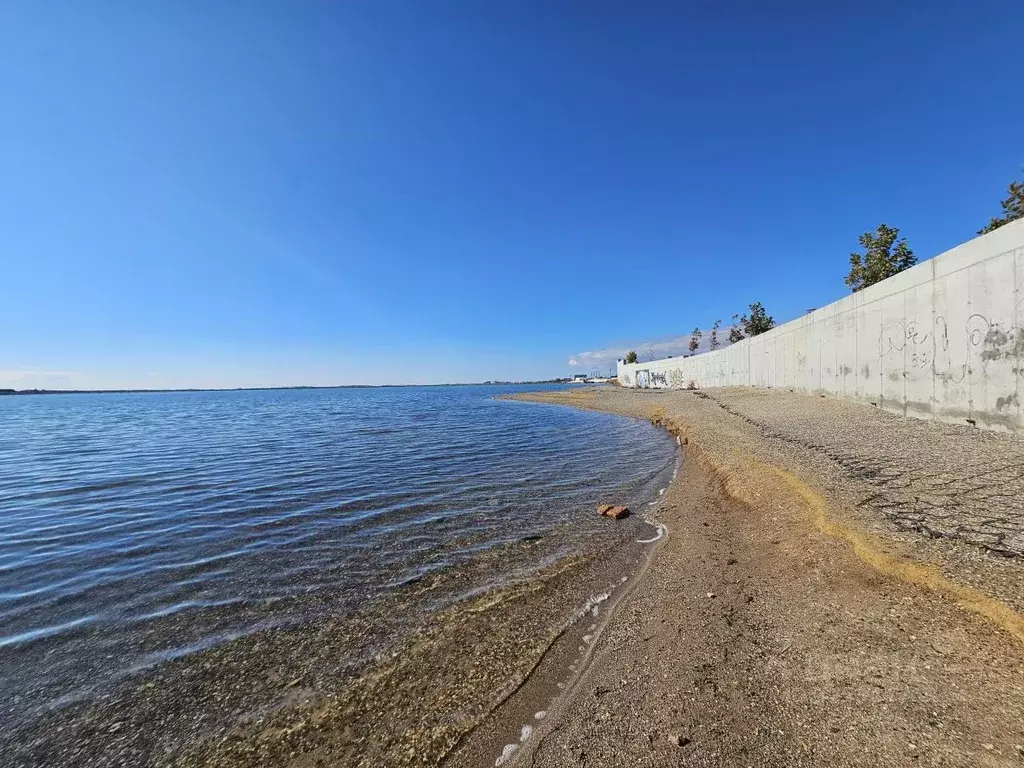 Помещение свободного назначения в Крым, Саки ул. Курортная, 4 (500 м) - Фото 1