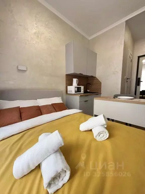 1-к кв. Москва ул. Большая Якиманка, 35С1 (23.0 м) - Фото 2