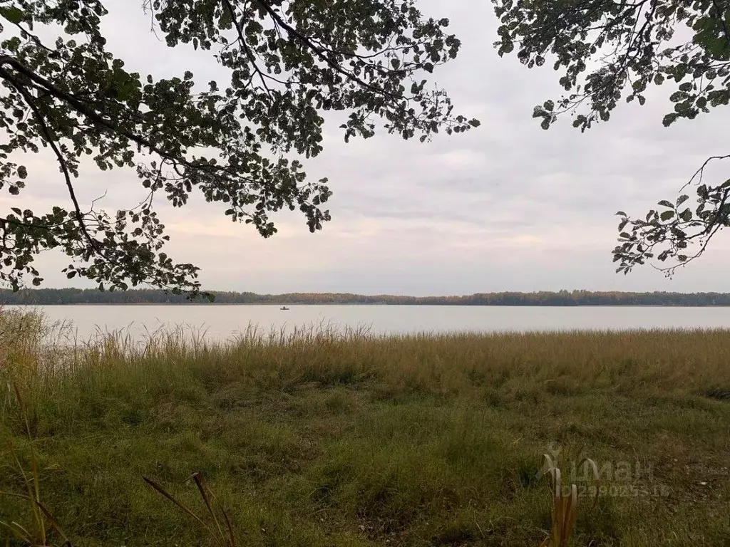 Участок в Ленинградская область, Выборгский район, Красносельское ... - Фото 1