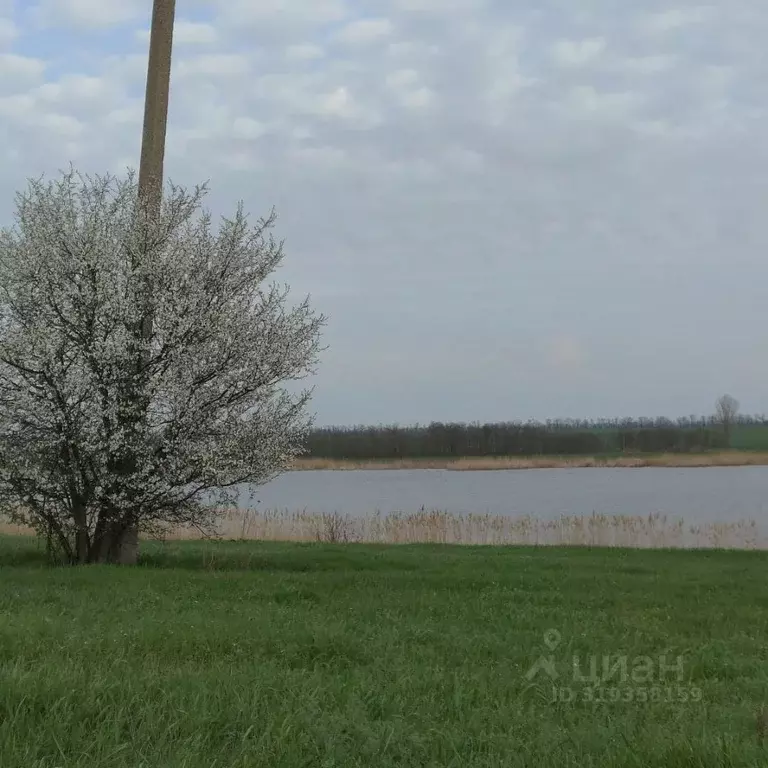 Участок в Краснодарский край, Щербиновский район, Новощербиновская ... - Фото 0