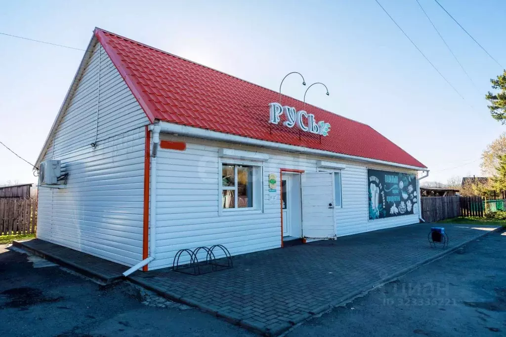 Торговая площадь в Алтайский край, Алтайский район, с. Алтайское ул. ... - Фото 1