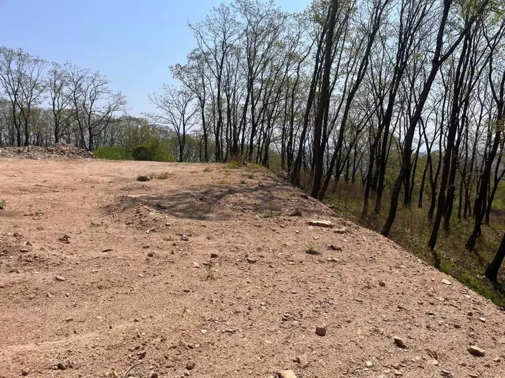 Участок в Приморский край, Находка Северный просп. (25.0 сот.) - Фото 1