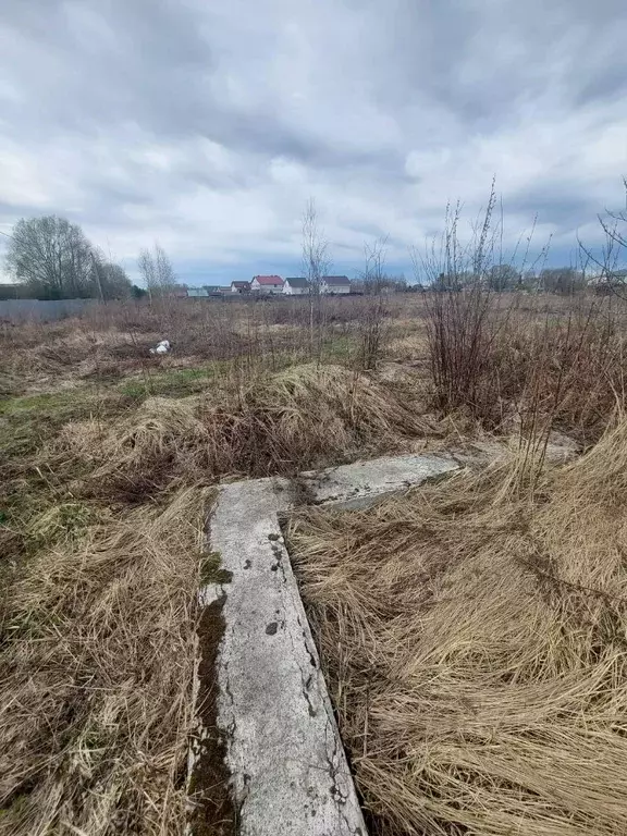 Участок в Ярославская область, Ярославский район, Кузнечихинское ... - Фото 0