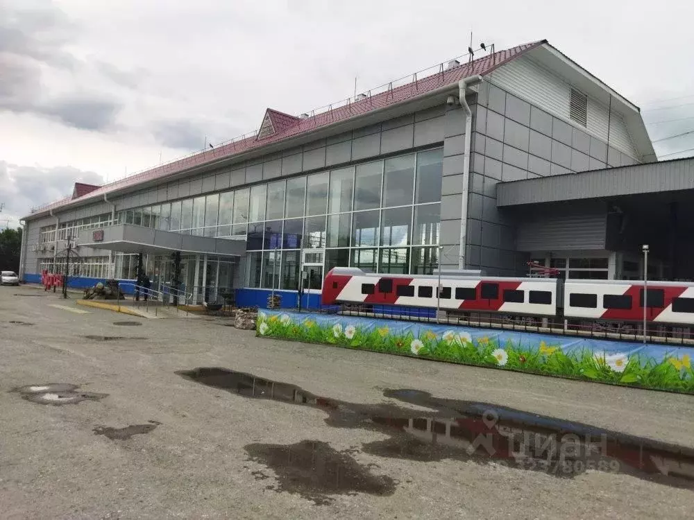 Торговая площадь в Курганская область, Курган Станционная ул., 51 (1 ... - Фото 1