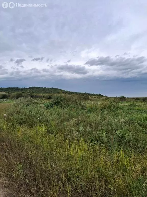 Участок в Красный Яр, Советская улица, 4 (35 м) - Фото 0