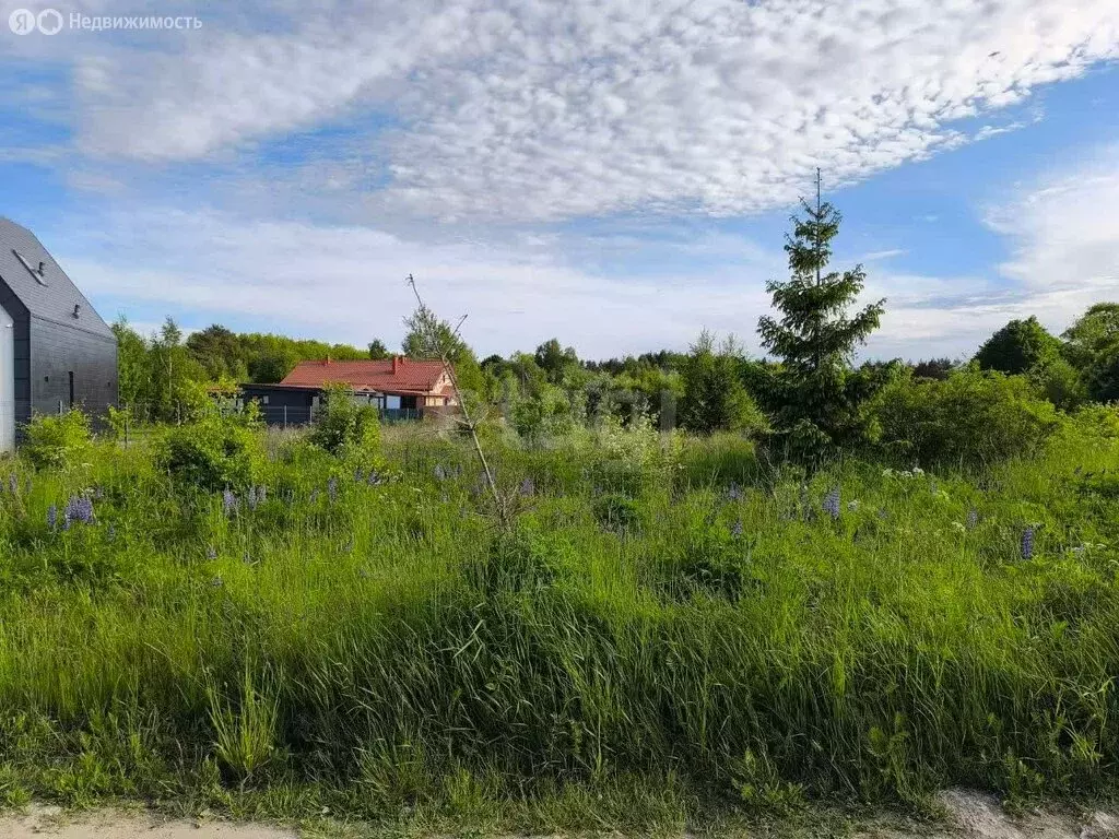 Участок в Калининградская область, Зеленоградский муниципальный округ, ... - Фото 1