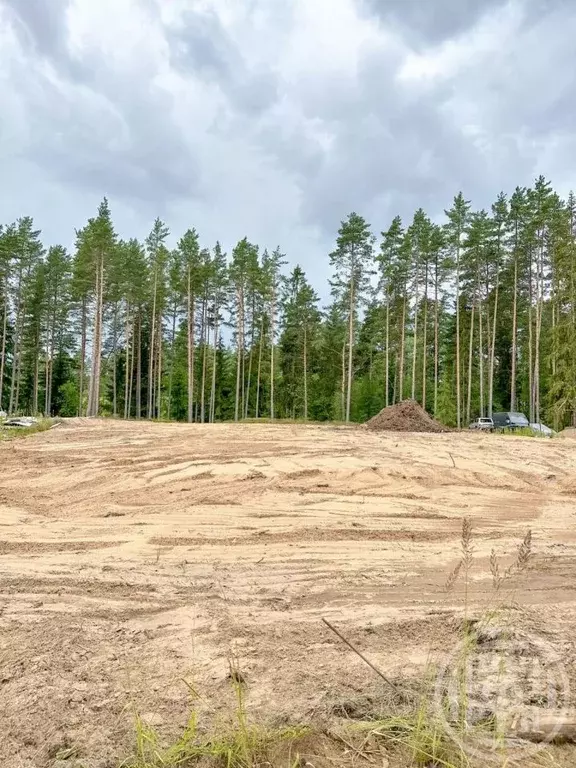 Участок в Ленинградская область, Лужский район, Заклинское с/пос, д. ... - Фото 1