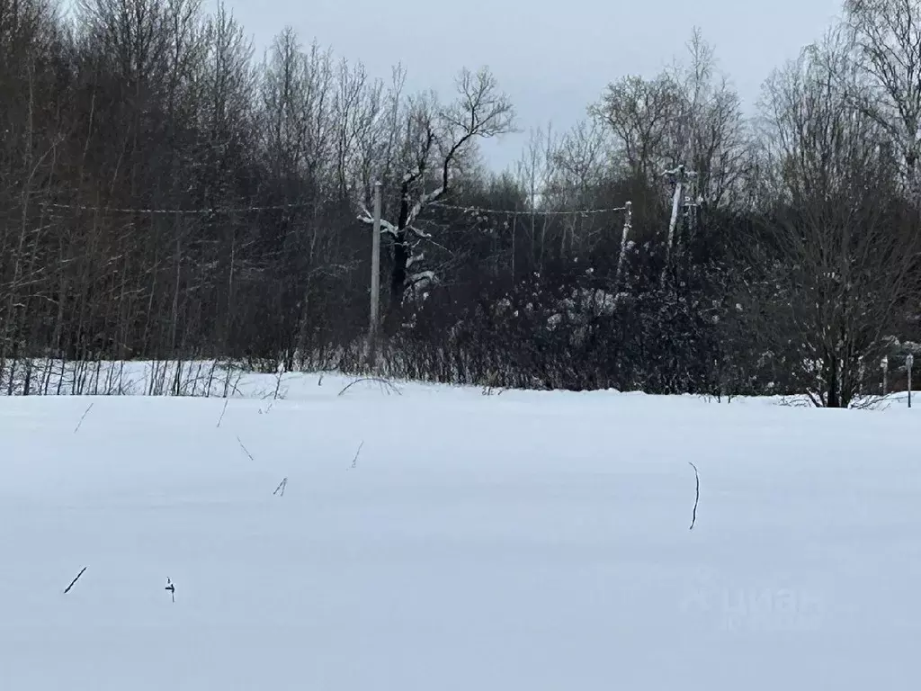 Участок в Владимирская область, Александровский район, Андреевское ... - Фото 0