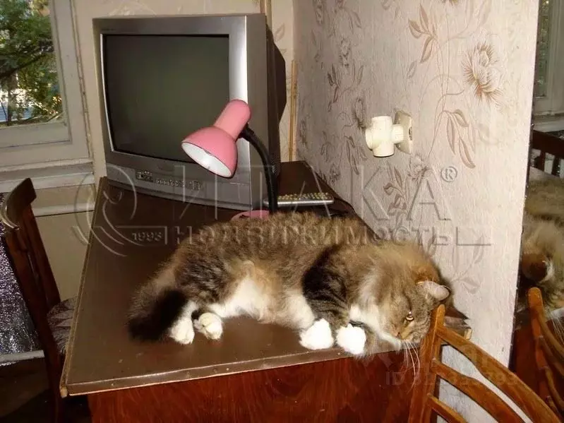 Комната Санкт-Петербург Благодатная ул., 31 (12.0 м) - Фото 1