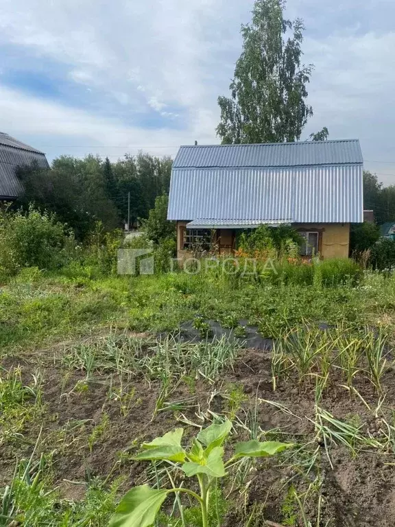 Дом в Новосибирская область, Новосибирский район, Новолуговской ... - Фото 0