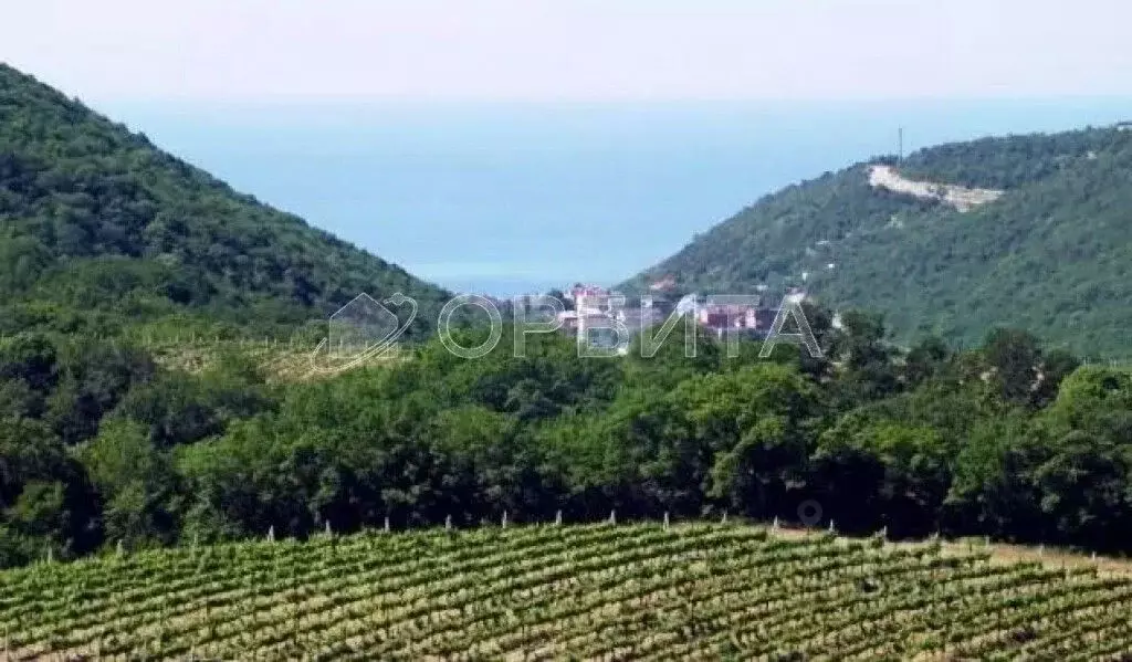 Участок в Краснодарский край, Сочи Кудепста мкр,  (8.0 сот.) - Фото 1