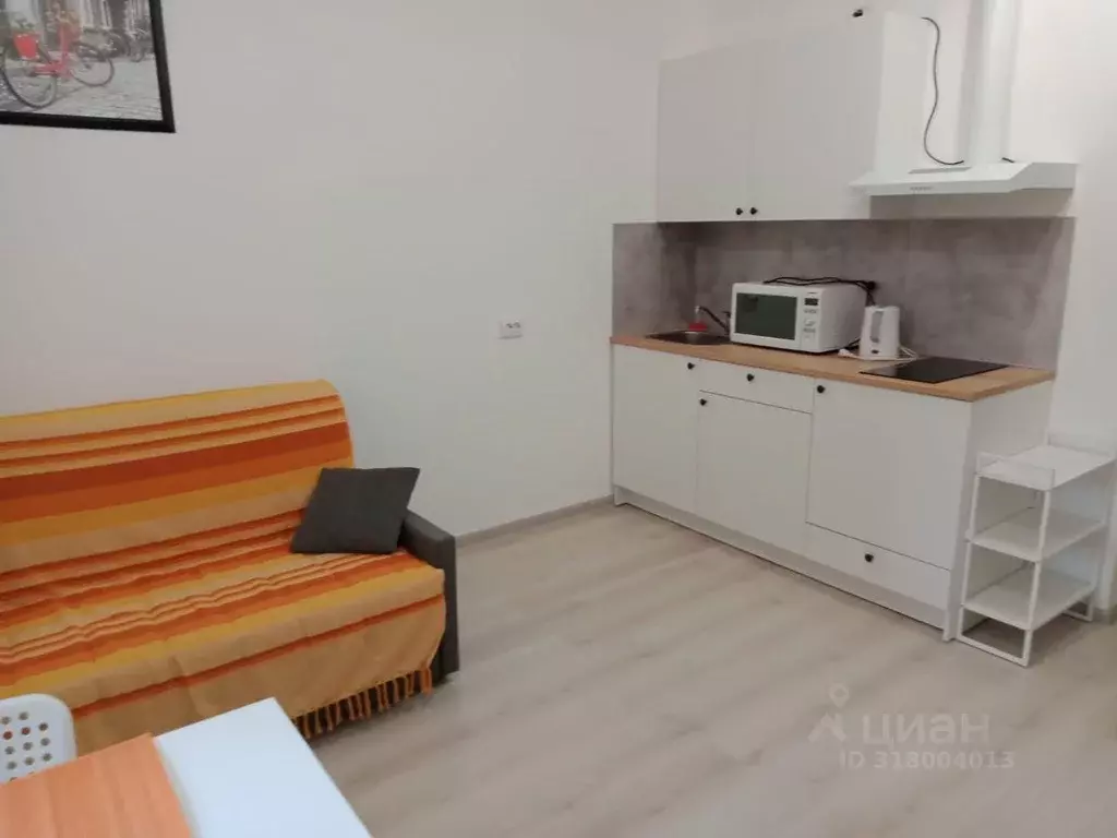 Студия Санкт-Петербург дор. Торфяная, 15к1 (29.0 м) - Фото 0