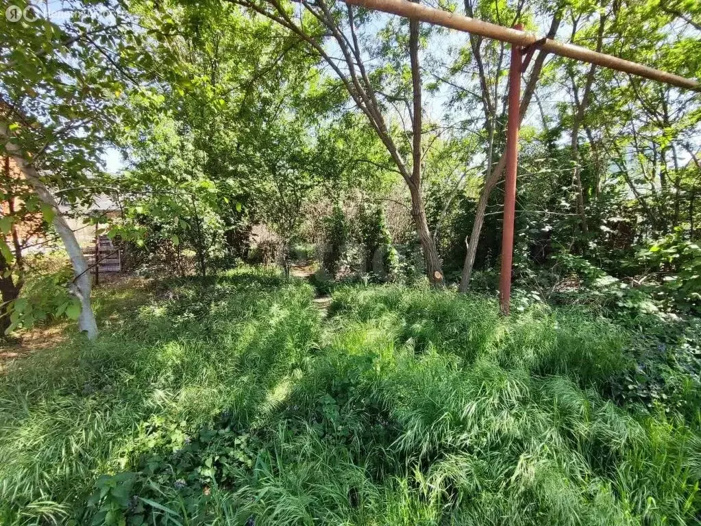 Участок в Ростов-на-Дону, садовое товарищество Садовод-Любитель, ... - Фото 1