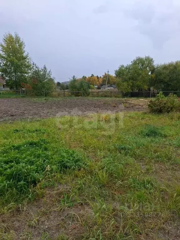 Участок в Амурская область, Благовещенск городской округ, с. Белогорье ... - Фото 1