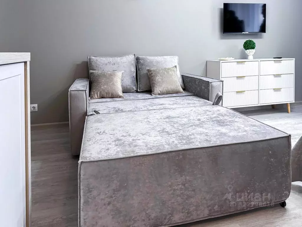 1-к кв. Санкт-Петербург Прилукская ул., 28к2 (27.0 м) - Фото 2