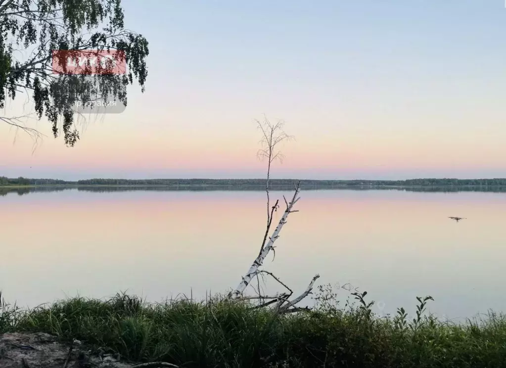 Участок в Рязанская область, Клепиковский муниципальный округ, д. ... - Фото 2