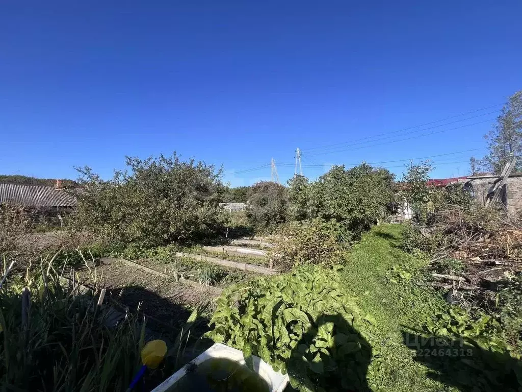 Участок в Сахалинская область, Долинский городской округ, с. ... - Фото 1