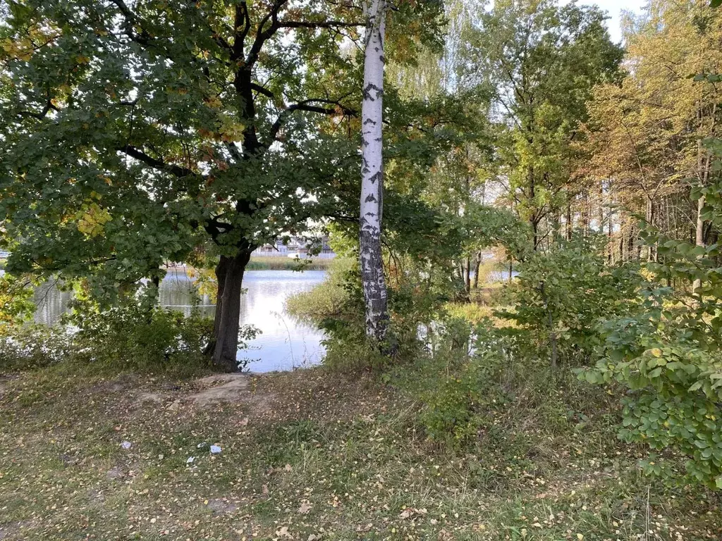 Участок в Московская область, Домодедово КП Рэд тер., 363 (8.77 сот.) - Фото 2