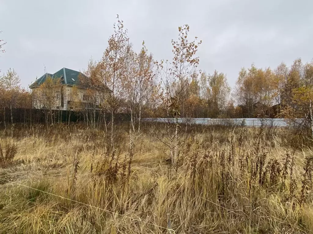 Участок в Московская область, Чехов городской округ, д. Чепелево ... - Фото 1