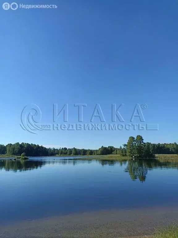 Участок в посёлок Ромашки, Полевая улица (9 м) - Фото 0